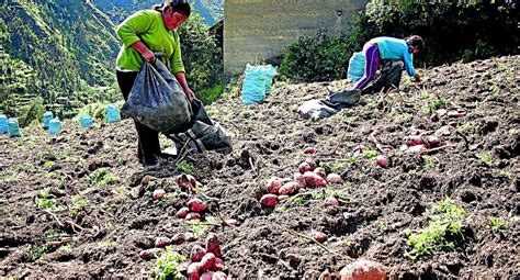 M S De Mil Mujeres Dinamizan Y Aportan A La Econom A De La Regi N