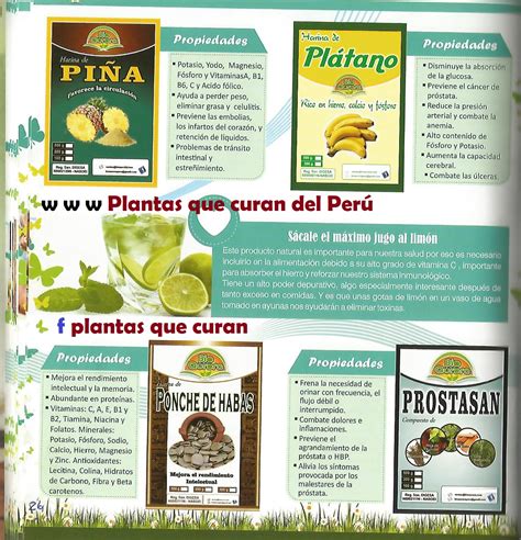 Plantas Que Curan Del Peru Catalogo