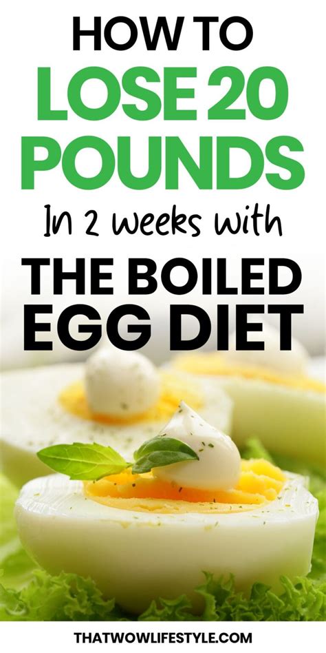 The Boiled Egg Diet For Weight Loss Thatwowlifestyle