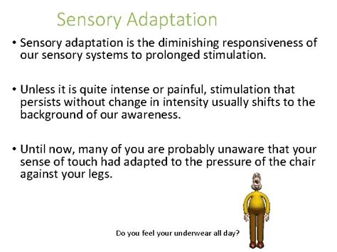 Chapter 4B Thresholds and Sensory Adaptation Ms SaintPaul