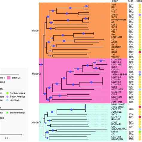 Phylogenetic Tree Of Core Genome Sequences By Maximum Likelihood Download Scientific Diagram