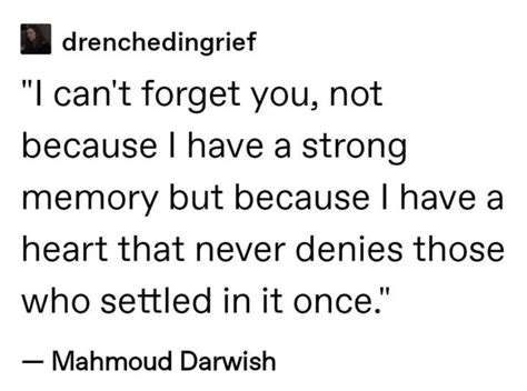 Quotes Random Mahmoud Darwish I Cant Forget You Literature