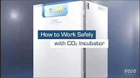 Esco Gray Ivf Co2 Incubator Model Name Number Ccl 170b 8 Ivf At Rs 450000 Piece In Delhi