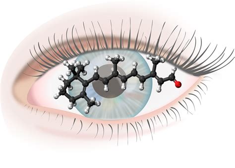 Retinal Compuesto De La Semana Quimicafacil Net