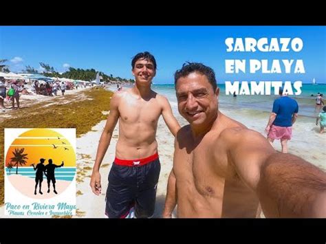 Playadelcarmen Llega Sargazo Playa Mamitas 8 De Abril YouTube