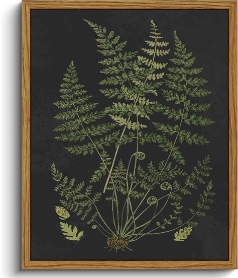 AXXPosters Canvas Wall Art Home Decor Minimalist Botanical Print Boho