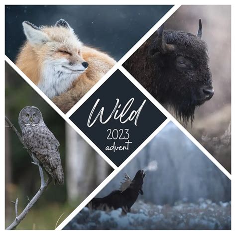 2023 Wild Advent Calendar (Ready to Ship) – Knotty Pine Fiber Co.