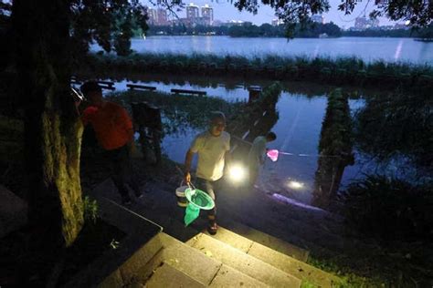 暴雨终于停歇，大水后长沙公园即景