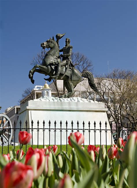 Jackson Statue Lafayette Park Washington Photograph by Audra Mitchell