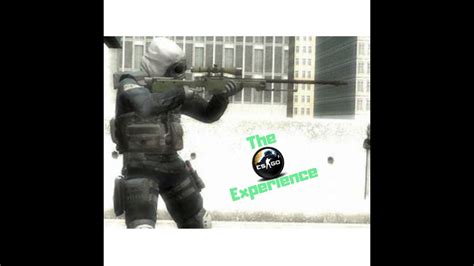 The Csgo Experience Youtube