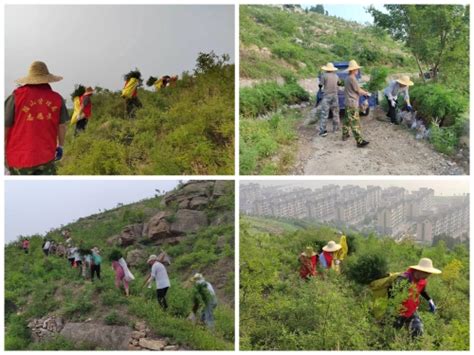 泰安市林业局 林业新闻 东平县腊山林场开展雨季造林突击战