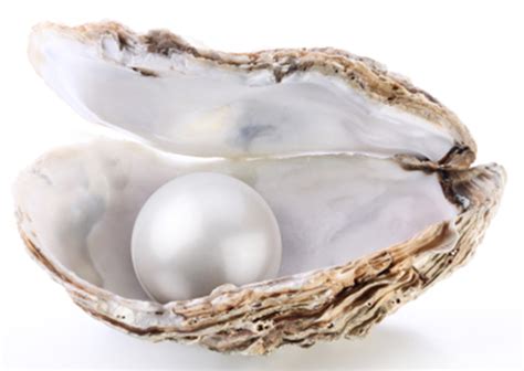 Identification Of Real Pearl Gemstone