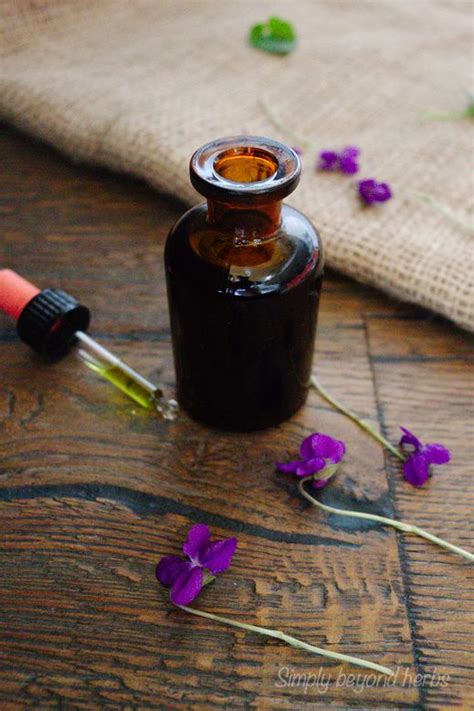 How To Make Violet Tincture To Ease Your Cough SimplyBeyondHerbs