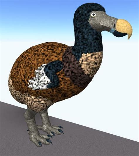 Dodo Roblox Cenozoic Survival Wiki Fandom