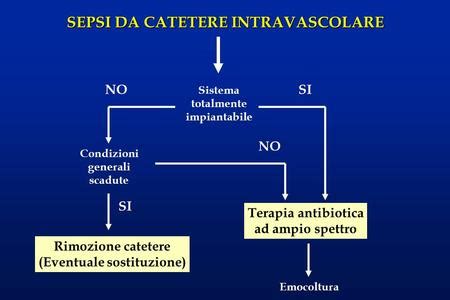 Diagnostica Di Laboratorio Delle Infezioni CVC Correlate Ppt Scaricare