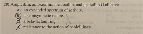 Solved Ampicillin, amoxicillin, mezlocillin, and penicillin | Chegg.com