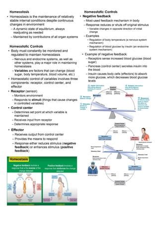 Lesson Introduction To Anatomy Physiology Pdf