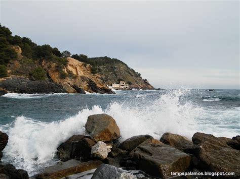 El Temps A Palam S Dimecres De Gener Augment Dels N Vols El Vent