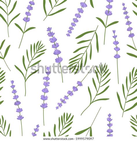 Seamless Pattern Lavender Flowers Vector Illustration Stock Vector