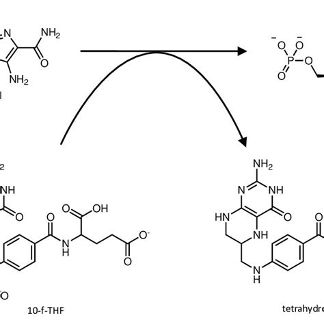 Chemical Structure Of One 5 Lo Inhibitor Zileuton And Three Lta4h