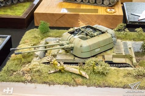 Moson Model Show Part Vi