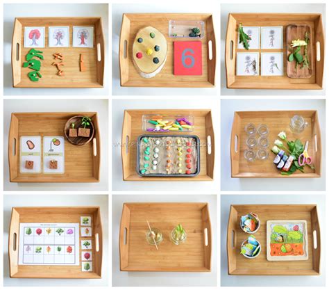 Plantactivities Montessori Math Activities Frog Activities Montessori