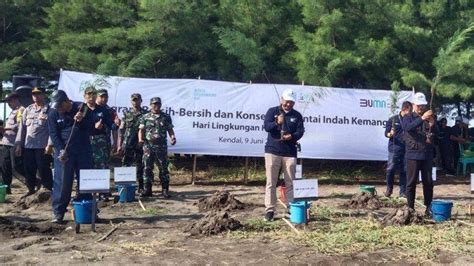 Bantuan Pt Pln Wilayah Pesisir Pantai Indah Kemangi Kendal Ditanami