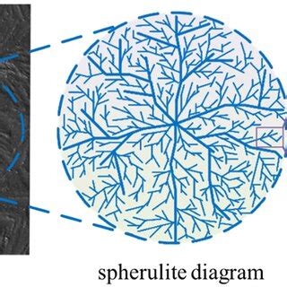 Schematic diagram of polypropylene (PP)'s multi‐level crystalline ...