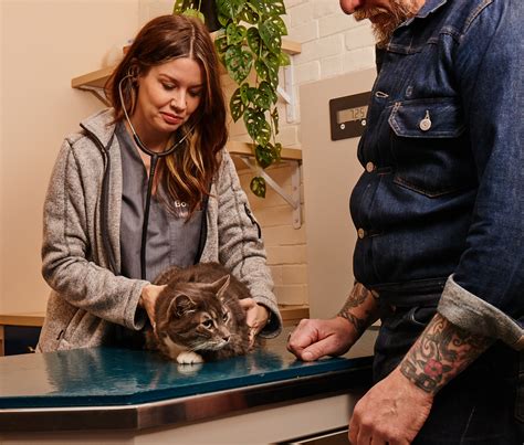 East Village Animal Hospital And Vet Clinic New York Ny Bond Vet