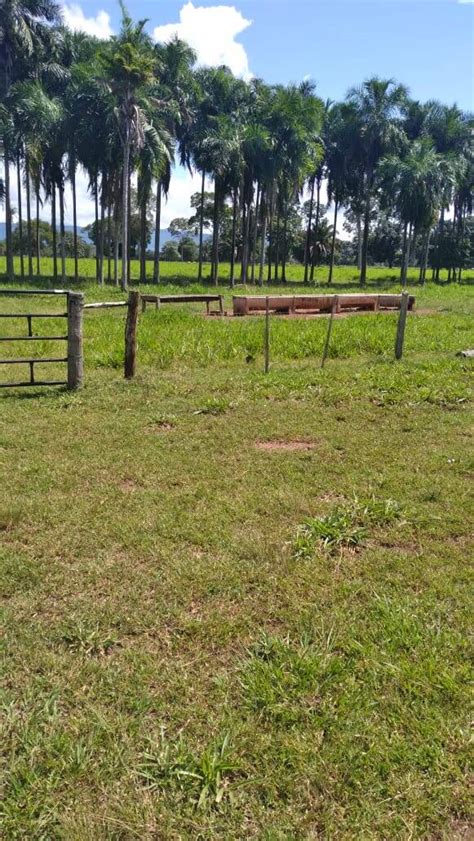 Venda de Fazenda em Mato Grosso porteira fechada dupla apitidão Achou