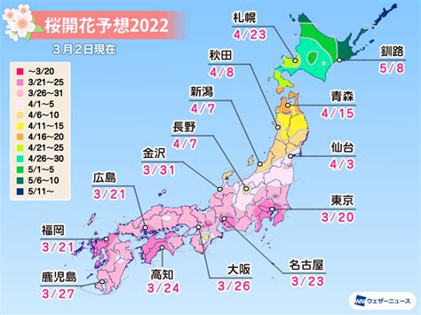 桜開花予想2022 桜開花トップは東京で3月20日 関東以西での開花は平年並 ウェザーニュース