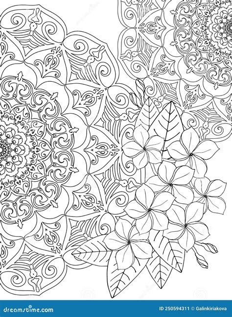 Coloring Page For Adults Mandala And A Beautiful Tropical Flowers Stock Vector Illustration Of