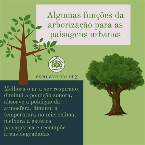 ImportÂncia Da ArborizaÇÃo Urbana 🌳 Programa Escola Verde