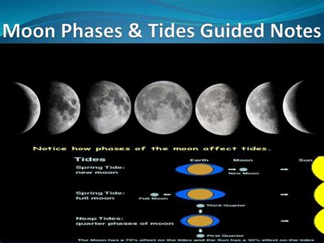 Moon Phases And Tides Quiz