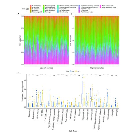 Relationship Between Low And High Risk Groups And Immune Cell