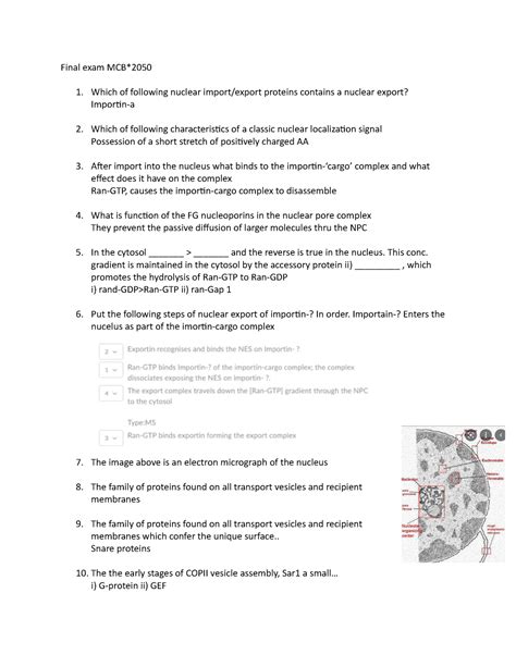 Mcb Final Exam Answers Domini Justina