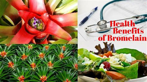 6 Unbelievable Health Benefits Of Bromelain Bromelain Health Health