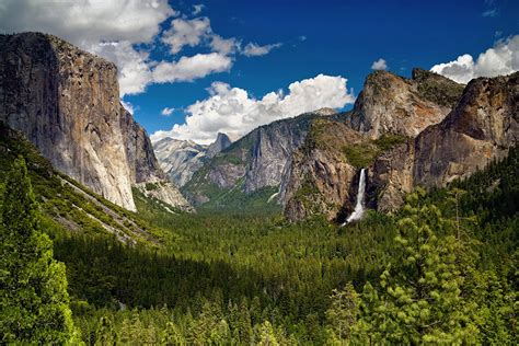 Guided Bus & Tram Tours | Yosemite National Park CA | TravelYosemite.com