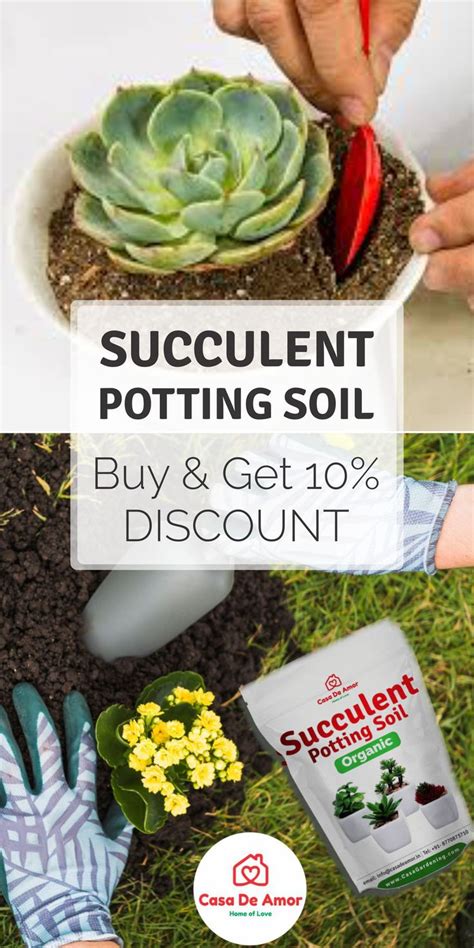 Succulents Potting Soil Organic Special Research Based Formula Fo