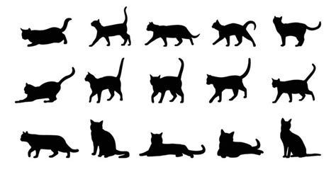 Cat Vector Images Free