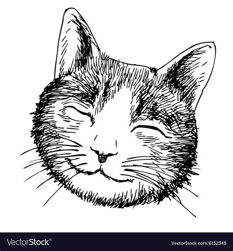 Голова кота рисунок - 74 фото