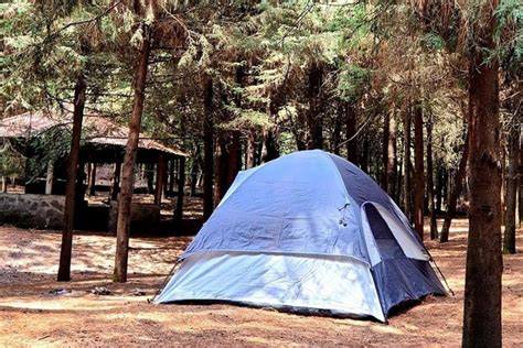 Descubre El Parque Ejidal San Nicol S Totolapan