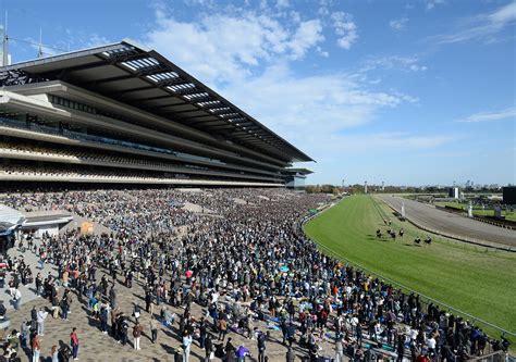 初心者はもちろん、子どもから女性まで楽しめるjraの東京競馬場 Tips