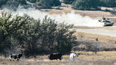 DVIDS Images 1 9 CAV Conducts Platoon Company STX 2022 Image 3 Of 19