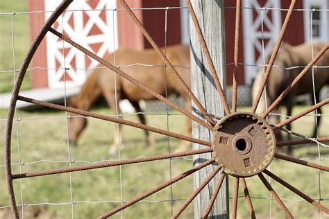 Horse Grazing Fence - Free photo on Pixabay - Pixabay