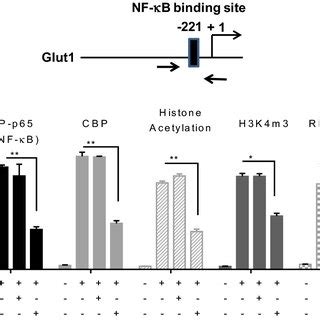 Knockdown of HOTAIR reduces the LPS dependent recruitment of NF κB on