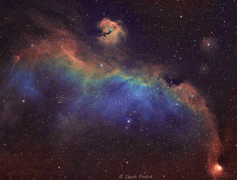 Seagull Nebula Focal World