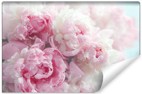 Fototapeta Kwitnące Peonie KWIATY Efekt 3D 270cm x 180cm Muralo