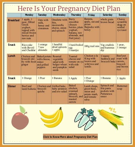 Your Perfect Pregnancy Diet Plan Pregnancy Meal Plan