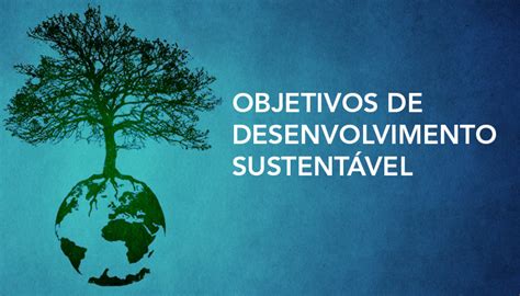 Conhe A Os Objectivos De Desenvolvimento Sustent Vel Tsandzana